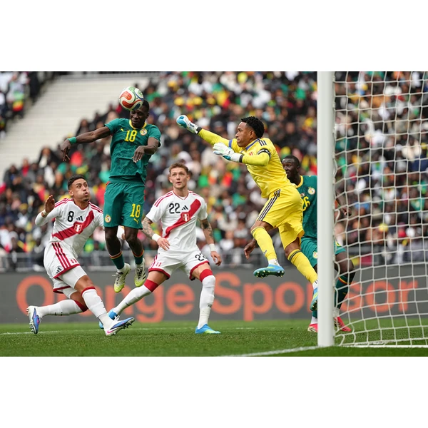 m.app-web-bsport.com.cn APP